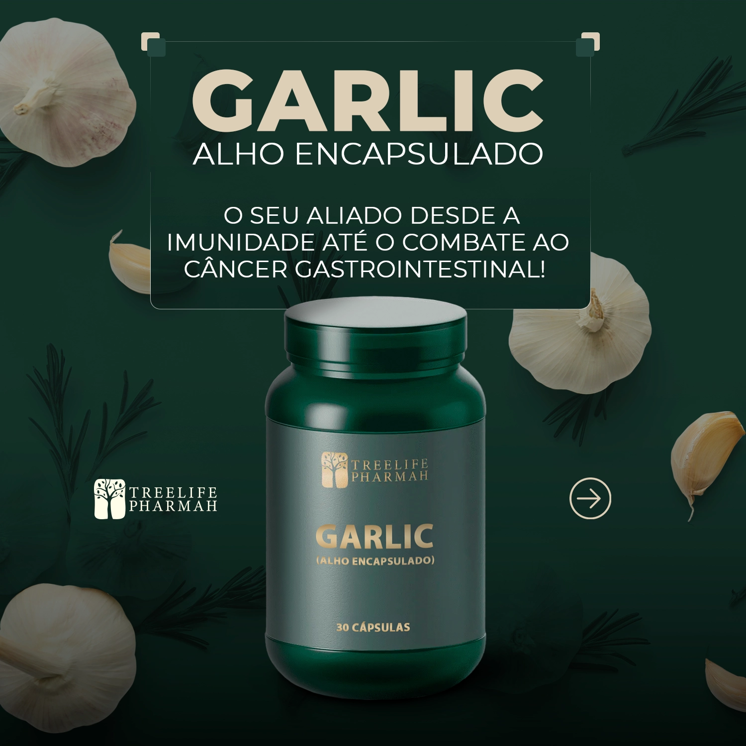 garlic