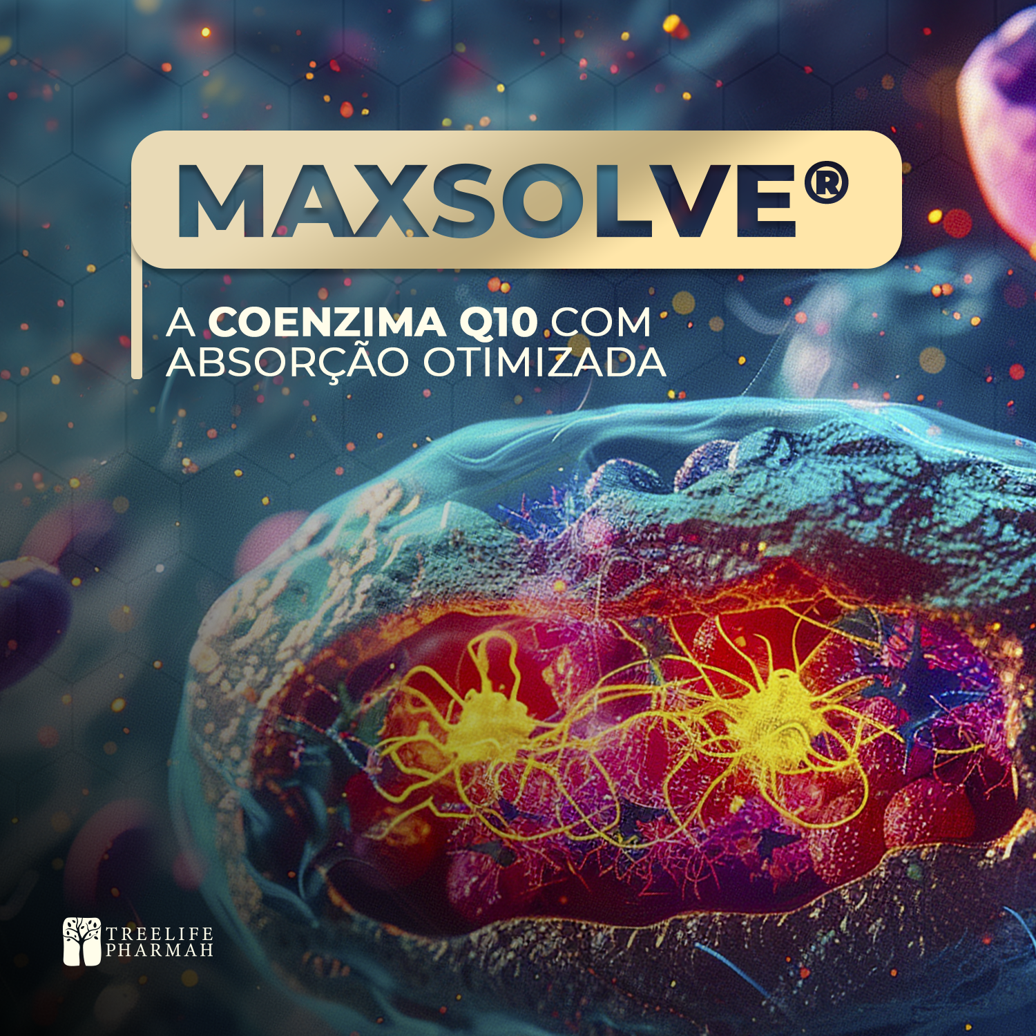 maxsolve