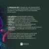 COENZIMA Q10 100mg - Imagem 3