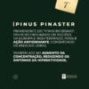 FÓRMULA PARA TDAH - Imagem 4