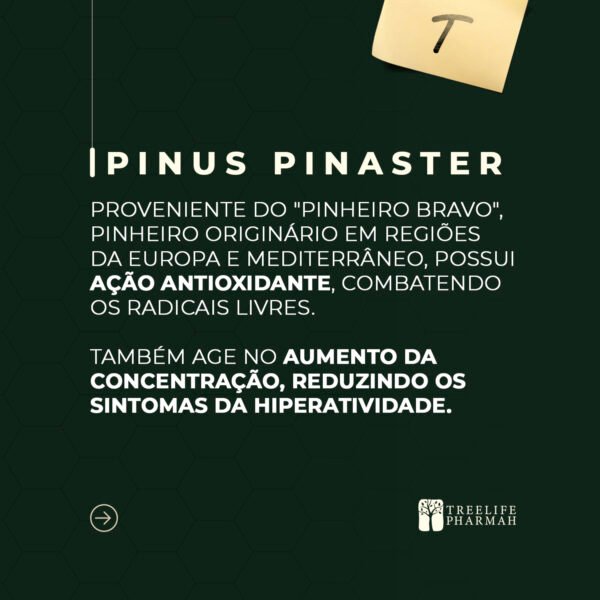 FÓRMULA PARA TDAH - Imagem 4